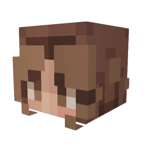 Jellytirc Minecraft avatar head, 3D render