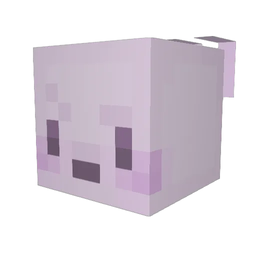 Jellytter Minecraft avatar head, 3D render