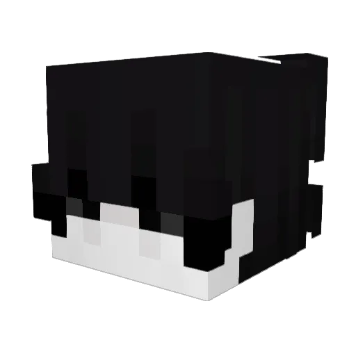 Jellywinner Minecraft avatar head, 3D render