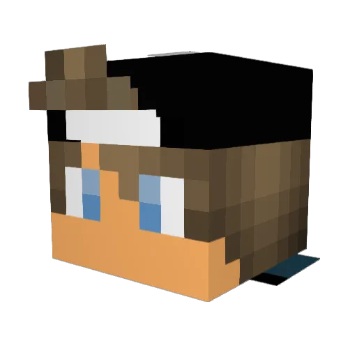 Jelmer_2013 Minecraft avatar head, 3D render