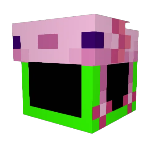 Jelmqn Minecraft avatar head, 3D render