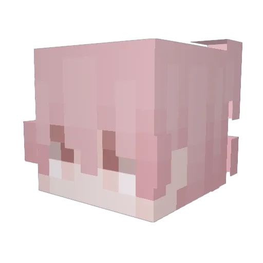 JelonekRogacz Minecraft avatar head, 3D render