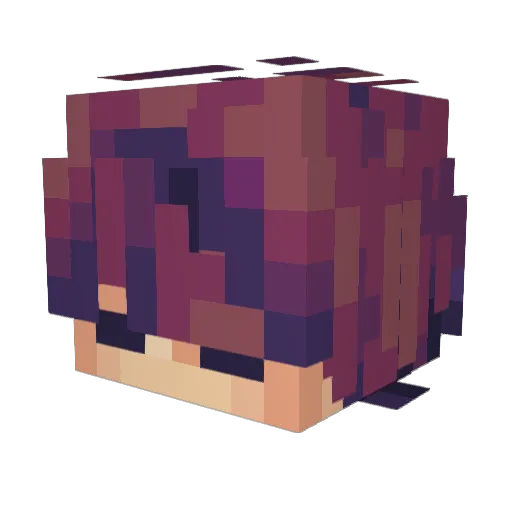 Jelonie Minecraft avatar head, 3D render