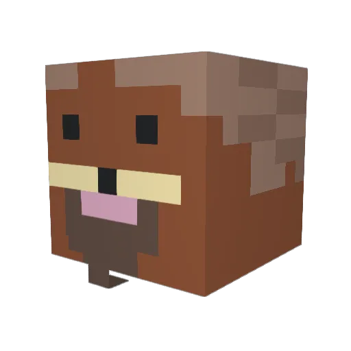Jelska Minecraft avatar head, 3D render