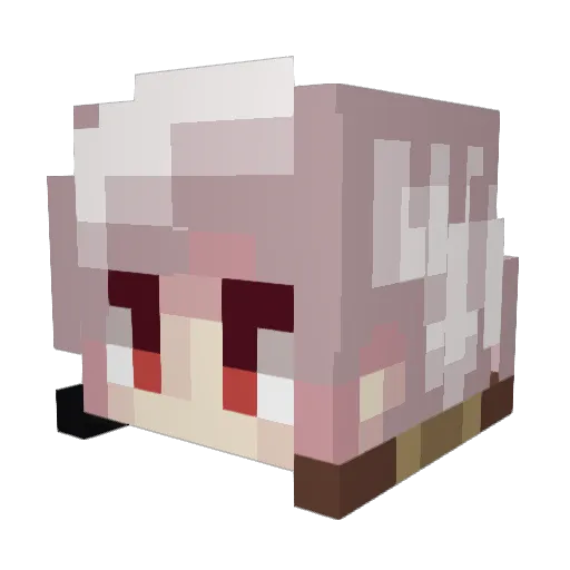 Jelsterman Minecraft avatar head, 3D render
