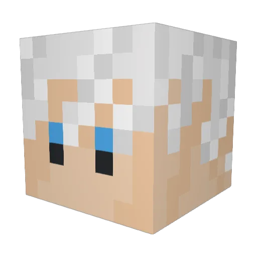 Jeltomy Minecraft avatar head, 3D render