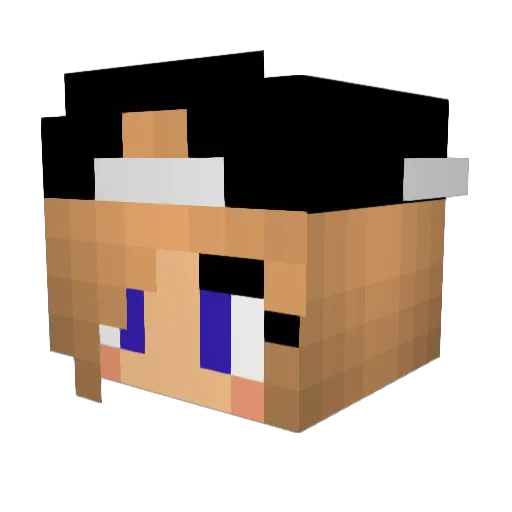 Jem10 Minecraft avatar head, 3D render