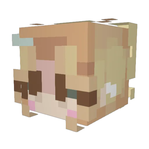 JemSeeker Minecraft avatar head, 3D render