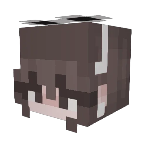 JemSprinkle Minecraft avatar head, 3D render