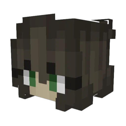 Jempa5 Minecraft avatar head, 3D render