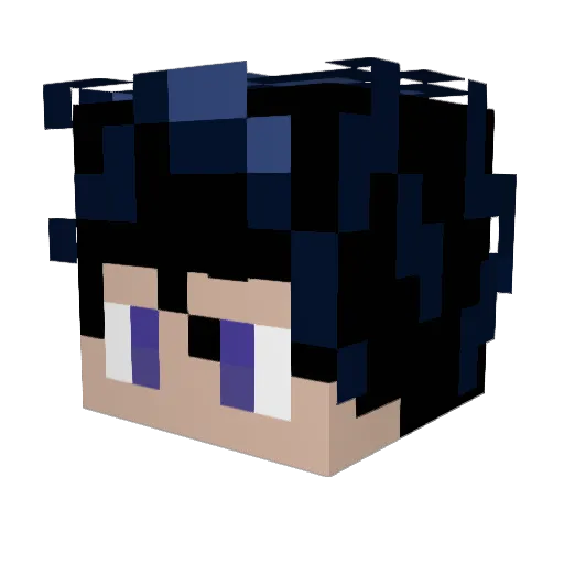 Jen5hen Minecraft avatar head, 3D render