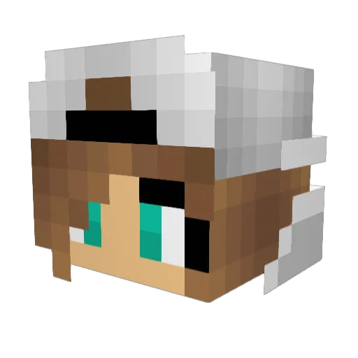 Jen8988 Minecraft avatar head, 3D render