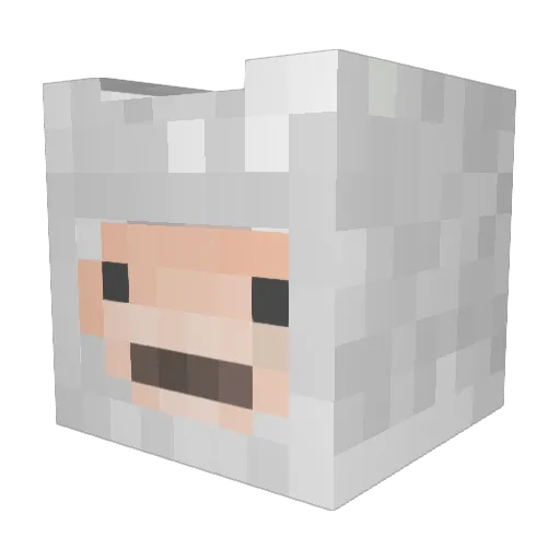 JenAndKeira4Eva Minecraft avatar head, 3D render