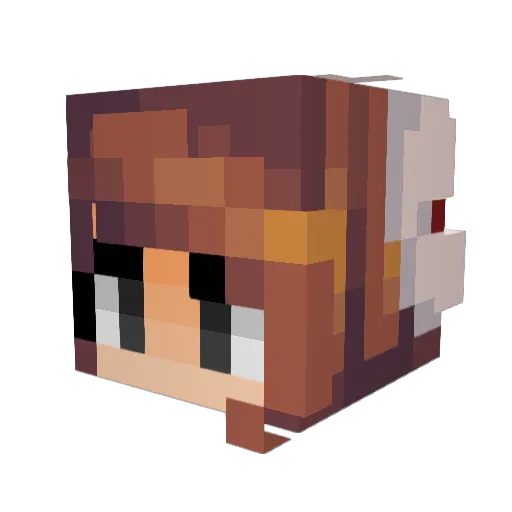 Minecraft-Avatar von JenJasJac: Kopf als 3D-Render