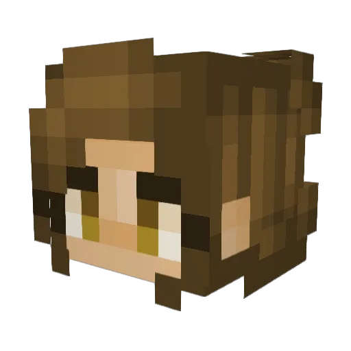 JenJen2198 Minecraft avatar head, 3D render