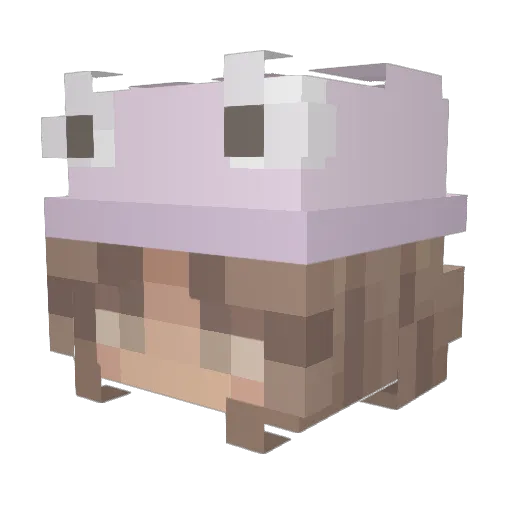 Jen_ahh Minecraft avatar head, 3D render