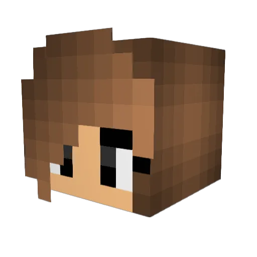 JenaPRO16 Minecraft avatar head, 3D render