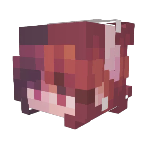 Jenatonic Minecraft avatar head, 3D render