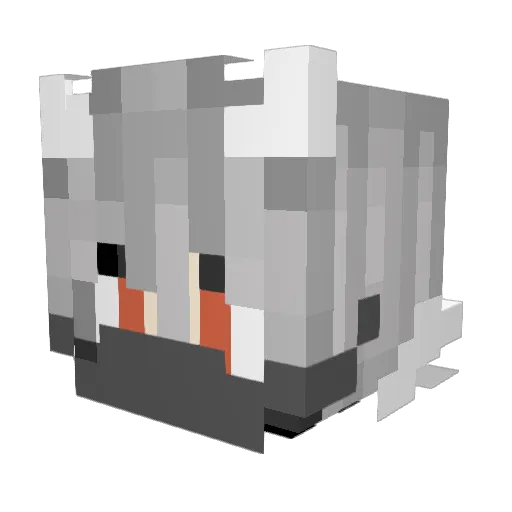 Jenbikeswim Minecraft avatar head, 3D render