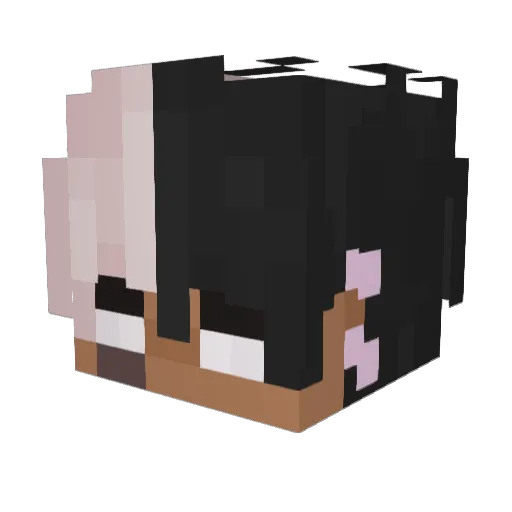 Jencon Minecraft avatar head, 3D render
