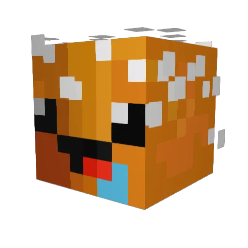 Jenfer_X Minecraft avatar head, 3D render