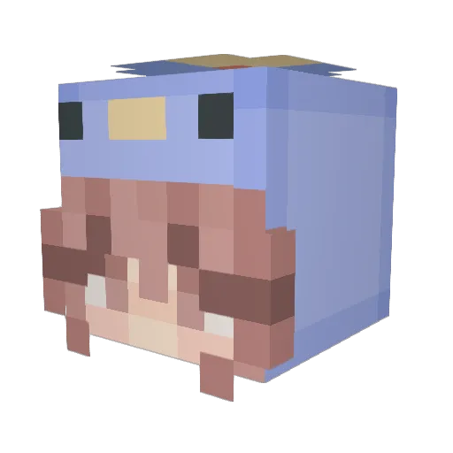 Jengana007 Minecraft avatar head, 3D render
