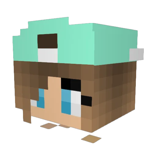 JenisFinish593 Minecraft avatar head, 3D render