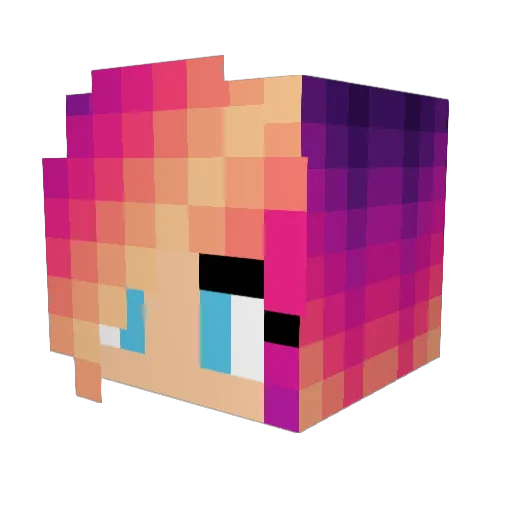 Jenjen315 Minecraft avatar head, 3D render
