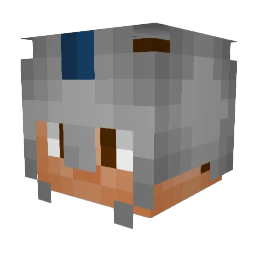 Minecraft-Avatar von Jenkinz_: Kopf als 3D-Render
