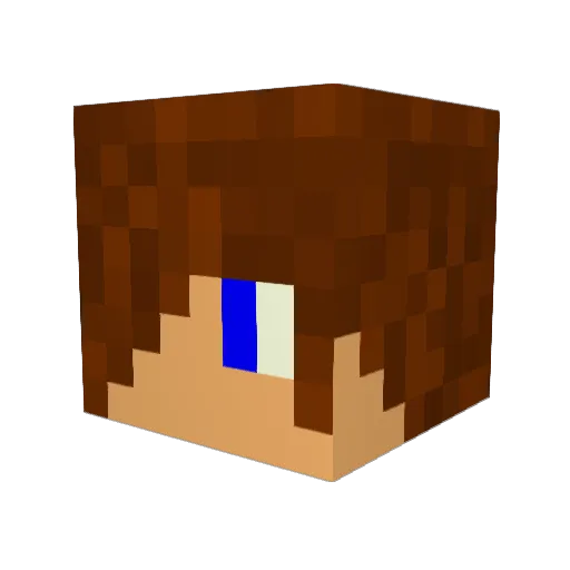 Jenksie209 Minecraft avatar head, 3D render