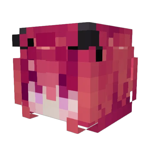 Jenmora Minecraft avatar head, 3D render