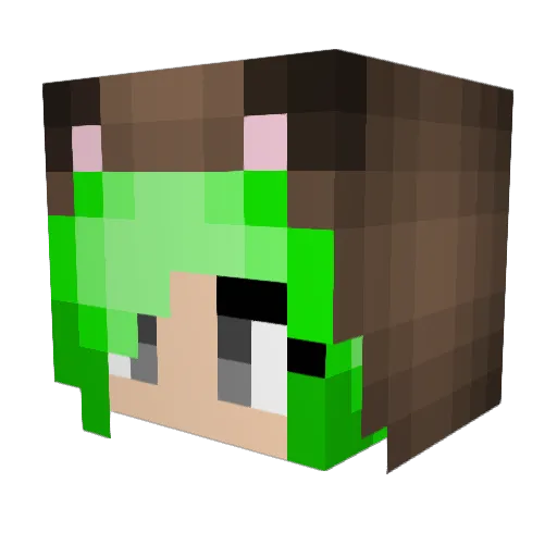 JennaBennaBear Minecraft avatar head, 3D render