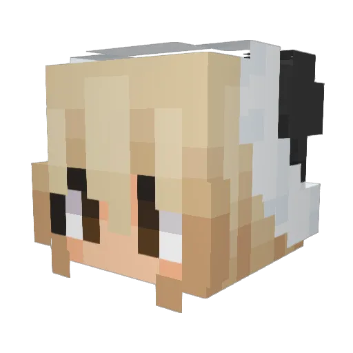 JennaIstooCool Minecraft avatar head, 3D render