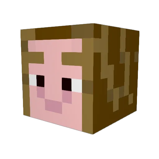 Jenna_Louise Minecraft avatar head, 3D render