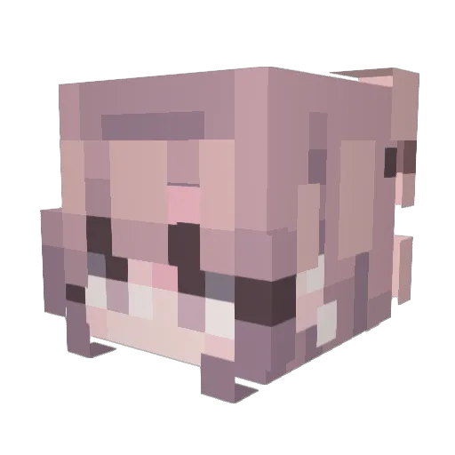 Jennay2Dope Minecraft avatar head, 3D render