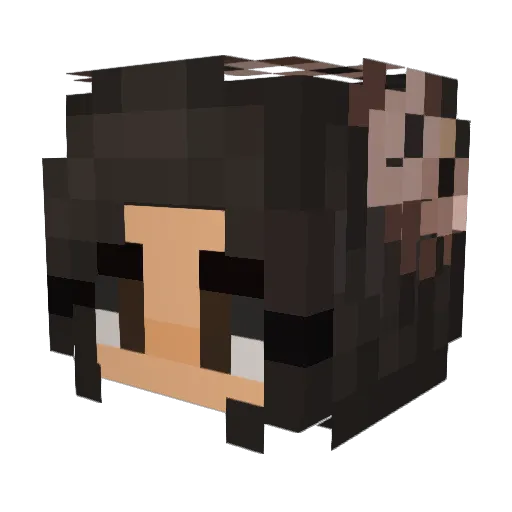 Jenniezzz Minecraft avatar head, 3D render