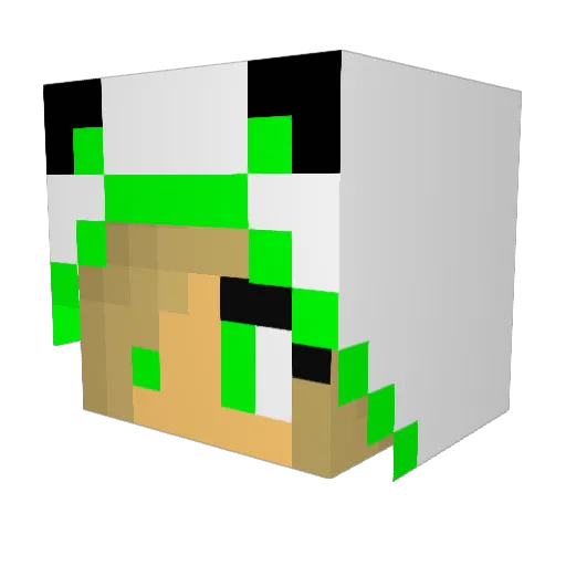 Jennifer145 Minecraft avatar head, 3D render