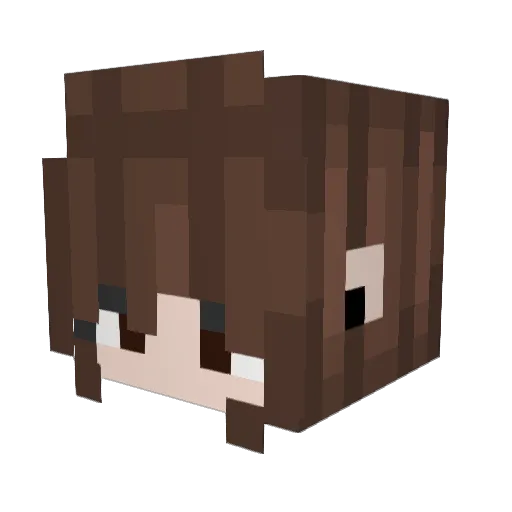 Jennifer714 Minecraft avatar head, 3D render