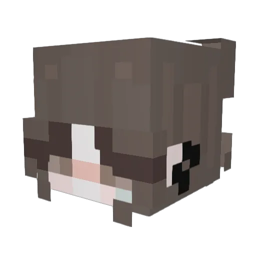 JenniferAmber Minecraft avatar head, 3D render