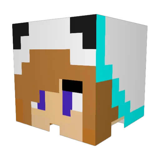 JenniferTheBest Minecraft avatar head, 3D render