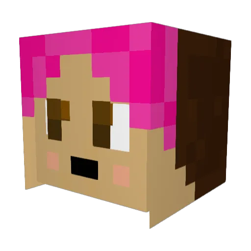 Jennita_e Minecraft avatar head, 3D render