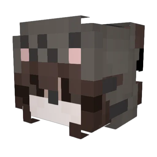 Jennj_07 Minecraft avatar head, 3D render