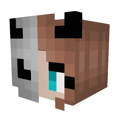 Jennnni Minecraft avatar head, 3D render