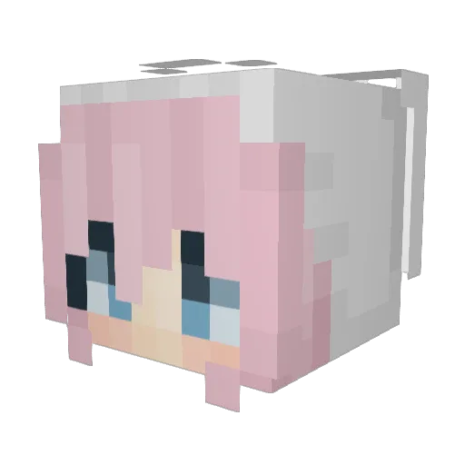 Jennpg2 Minecraft avatar head, 3D render