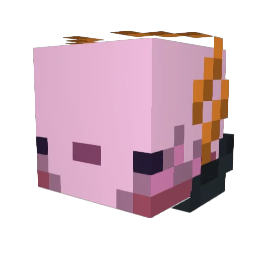Jenny7132 Minecraft avatar head, 3D render