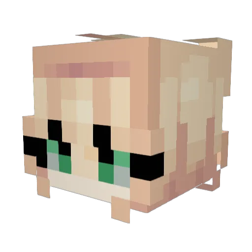 JennyFrmTheBlock Minecraft avatar head, 3D render