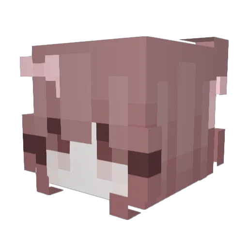 JennySTAR214 Minecraft avatar head, 3D render