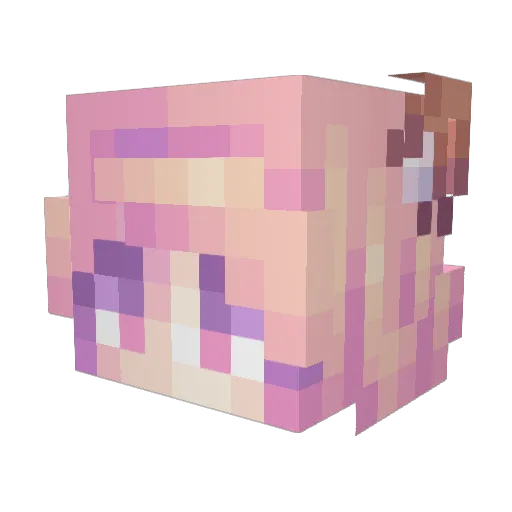 Jenny_Maus Minecraft avatar head, 3D render