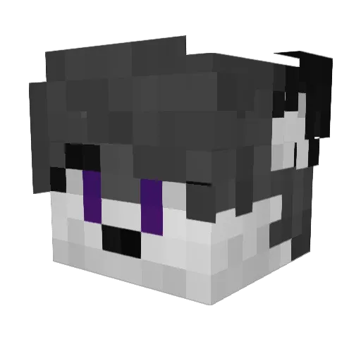 Jenny_ls Minecraft avatar head, 3D render
