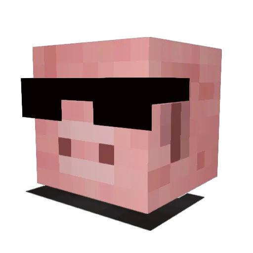 Jennyfer24 Minecraft avatar head, 3D render